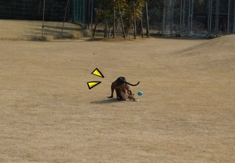 273905925_986794721941182_2333633072682142043_n