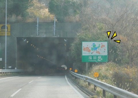 DSCN9088