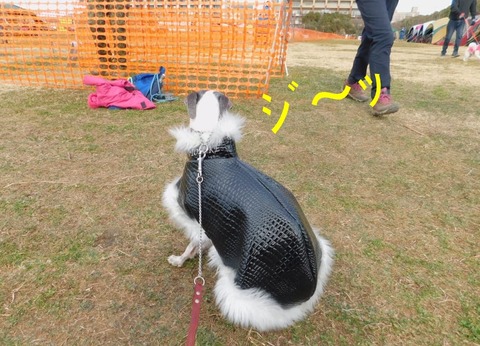 273720106_261555399444766_4303828695337628875_n