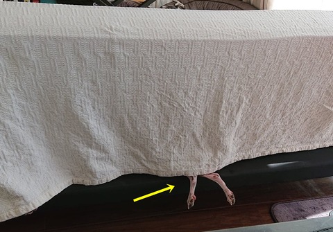 308365263_651959196252869_2511454890620862901_n