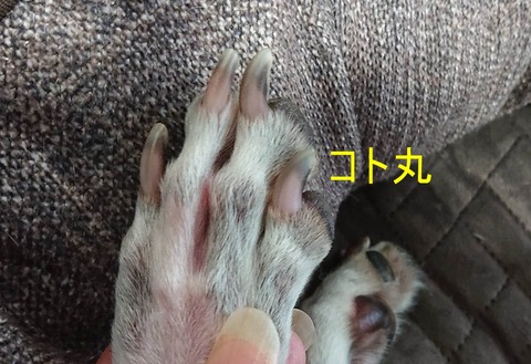 352175331_281124661066073_6680680474487532444_n