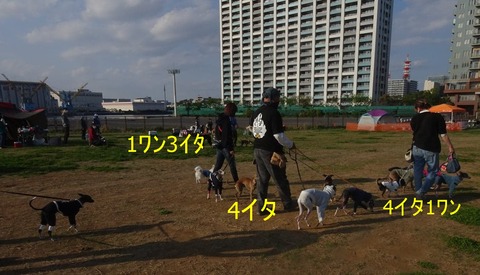 175010756_957132698361898_4274005201614517141_n