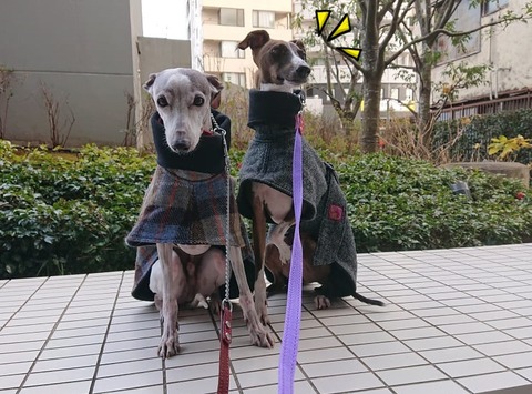 273178546_525438015450458_6160338787059841651_n