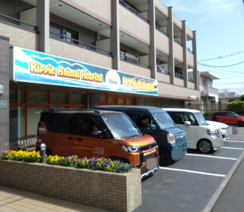 02db9cbd-cd3d-4365-8f38-db642146e50e