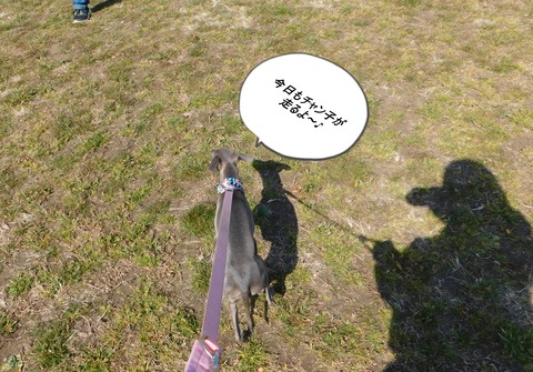 DSCN8960