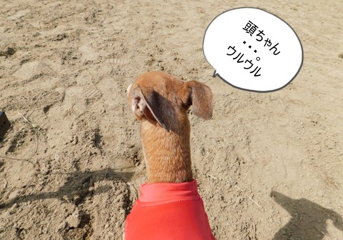 DSCN7108