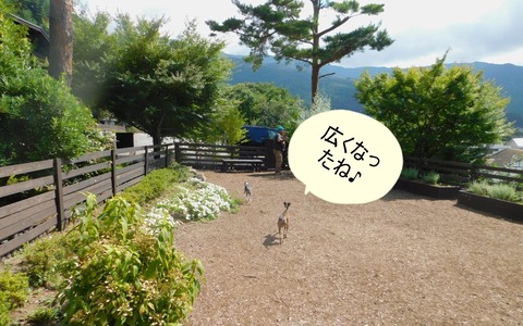 310807205_821384465978316_2257156505484095755_n