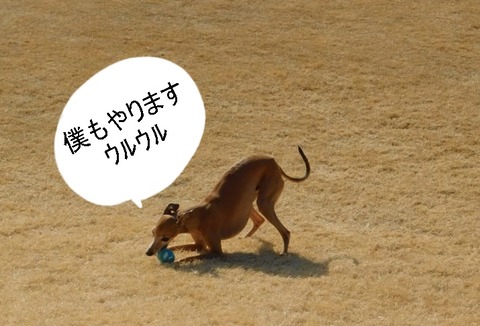 273824831_1136450430525741_4183680895158124529_n