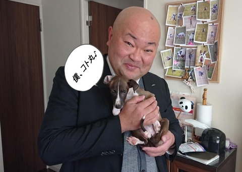 50ef87c8-1c5e-49b7-9099-95de7951413a