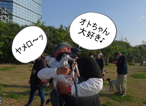 175034912_248654526997650_4555534925365921235_n