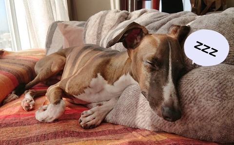 273246950_1131599280936637_4168501839538247515_n