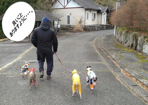 c6ae0bad-7be7-4f06-b566-8ad549065d2e