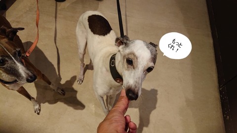 18070 - コピー