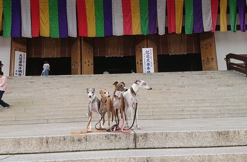 354247788_744465530788607_6885913789395717990_n