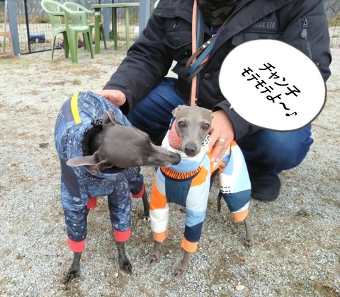 cc797129-0b2d-4407-a4e2-4ea06e35b071