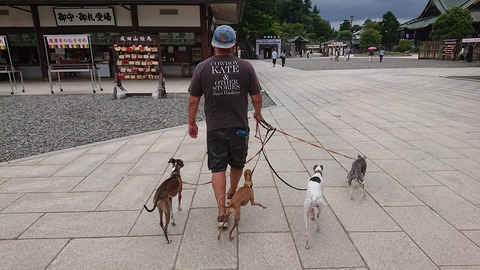 354755581_1338299130377360_3786795246322510184_n