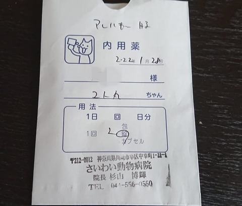 273474803_522464339125532_2704341682211835735_n