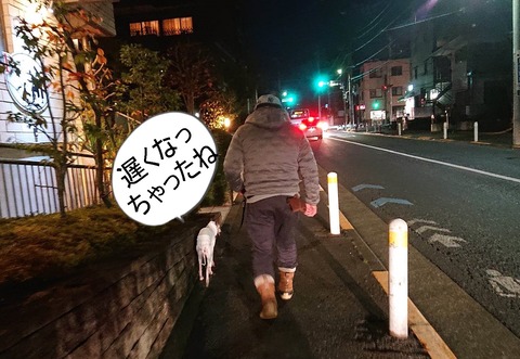 320618478_1332400690859182_8950742751706926225_n