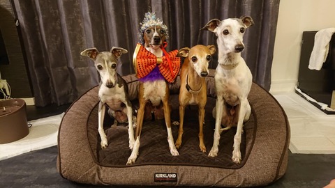 c7be2de4-4b47-4fb0-9c4d-2eefee65343d