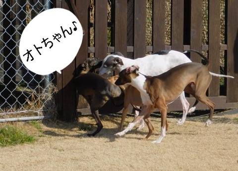 273803216_998517307443184_6628733838115507503_n