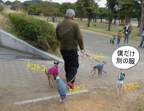 DSCN7368