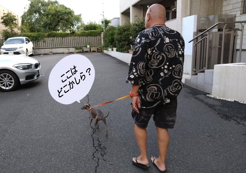 3a29ccdd-068f-4730-8c66-7cc7e55bd201