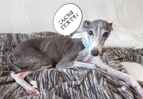 355955176_259104196810006_8638483772392506880_n