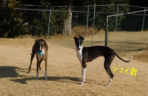 273800742_319890616846230_6059515064175181484_n