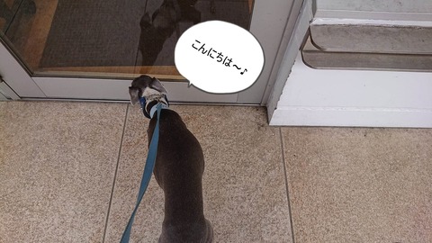 355822735_1706194239831687_7798333155246054401_n