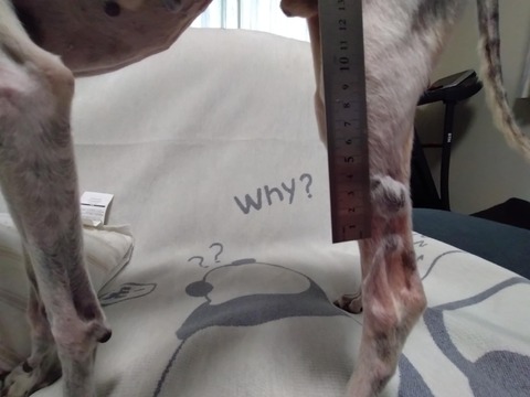 0a6aedbc-3870-47ec-8de4-a989dec9dd60