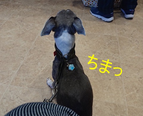 278428075_1363210430751061_6303228102534744219_n - コピー