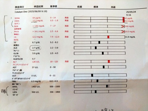 67ecb7aa-8c06-426a-a470-107194179566