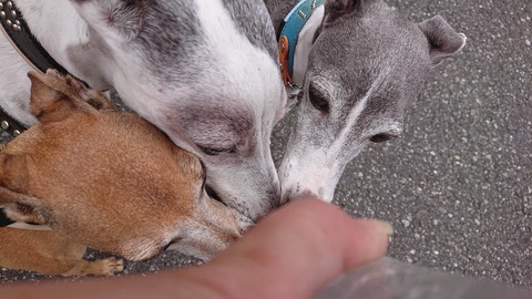 355383958_151676721252101_7726627801298870107_n