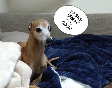 a3d6c64b-e534-4f19-9db3-72a2b98c67dc