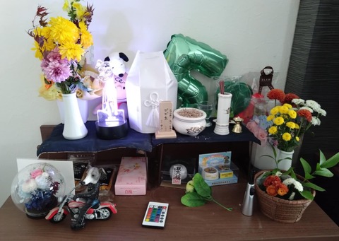 7590b714-7715-409d-97b5-d5d285d47e9e