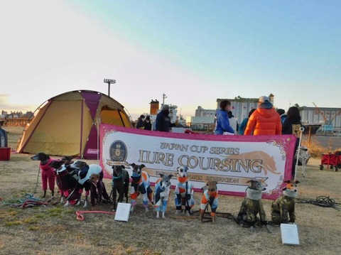 273531892_352403560077885_3718386062511715864_n