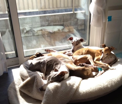 98f51902-01a8-4430-8126-b17f57eced09