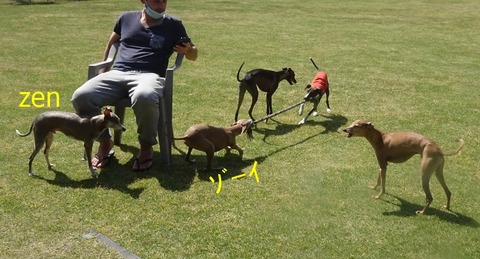 175974211_470123507576776_1278519277889783168_n