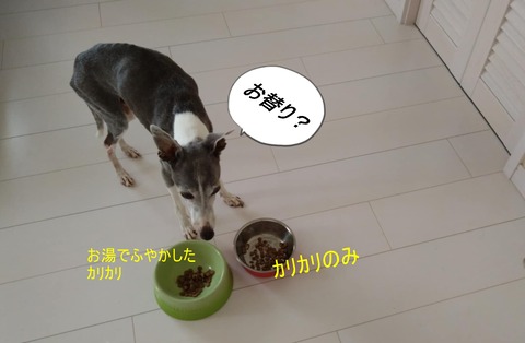 93412be6-d54d-482d-8f49-c128aa992f4e
