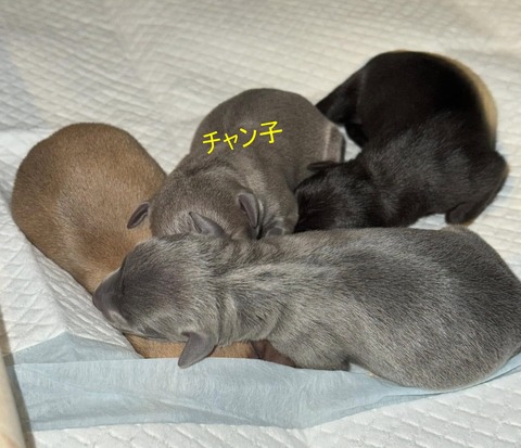 482322839_665704529470457_2491329055009905074_n