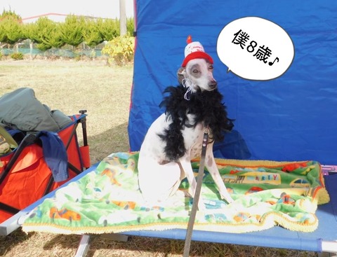 259988915_389169922997957_7324541980715390093_n