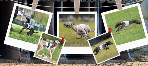 482344830_665704389470471_2121687621013304169_n