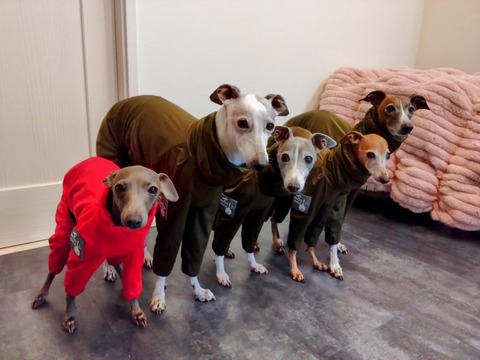 b3b5623a-26a7-4039-ab7d-025c8a99c8b3