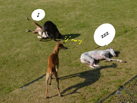 278454242_712442799790412_3621961243185455018_n