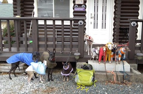 0490d638-861f-4520-be73-2767f3591c76