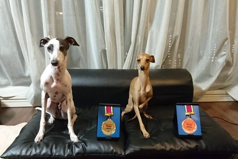 caf69d76-d272-4817-aee4-2af69075c52d