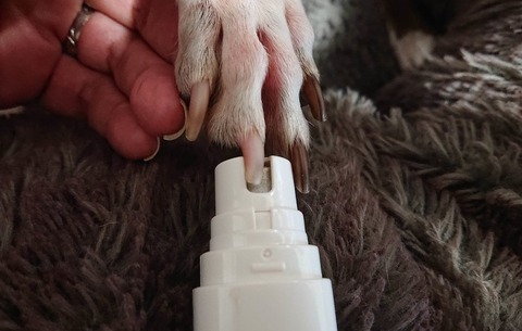 354920360_1287587138844398_6198032133622168142_n