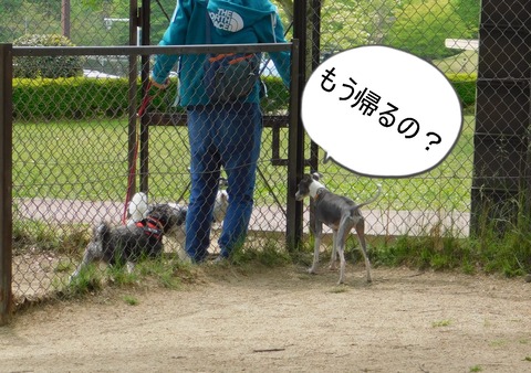 DSCN8576