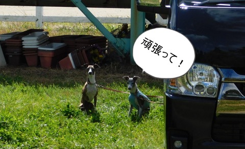 DSCN7097