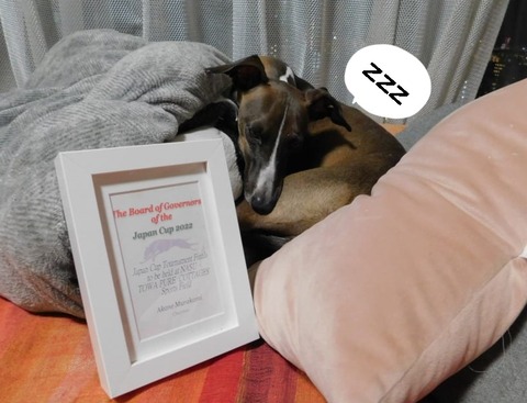 273976012_472849667715025_3678591913849869206_n